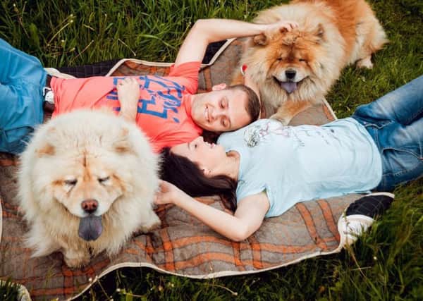 A dog owner who is single is thought be three times more attractive than a singleton with a cat.