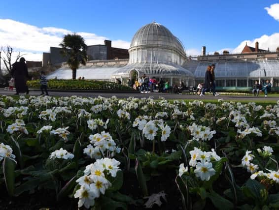 Botanic Gardens in Belfast on Sunday during sunny weather across Northern Ireland at the weekend.
 Photo by Colm Lenaghan/Pacemaker Press