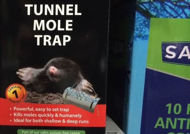 A picture of the tunnel mole trap that was on sale in Homebase in Derry on Tuesday.