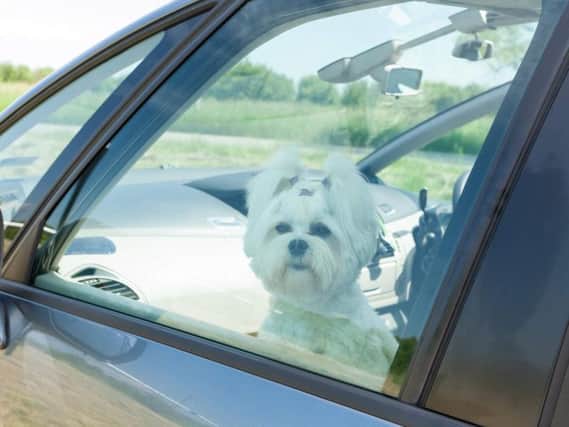Police are warning people in Derry not to break in car windows if they see a dog inside a vehicle with no ventilation.