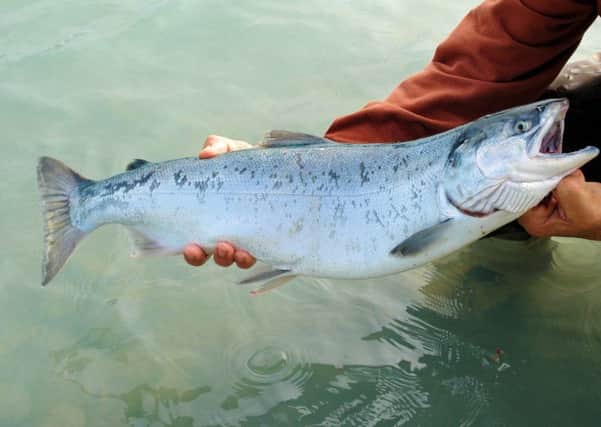 Poachers are suspected of stealing salmon and selling it round houses and businesses. (File pic)