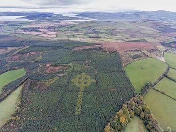 The photo of the giant Celtic cross in a forest near Killea outside Derry. (Photo: Bernard Doherty)