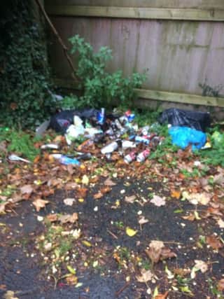 Some of the rubbish discarded on Coshquin Road.