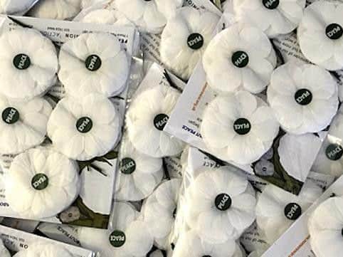 Peace poppies.